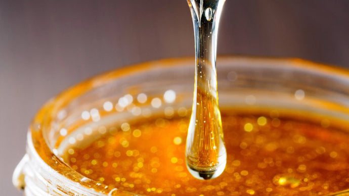 A Brief History of Honey