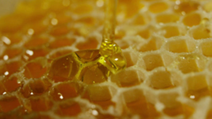 The real deal with Honey